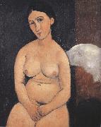 Amedeo Modigliani Seated Nude (mk39) oil painting artist