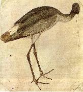 PISANELLO Stork oil painting