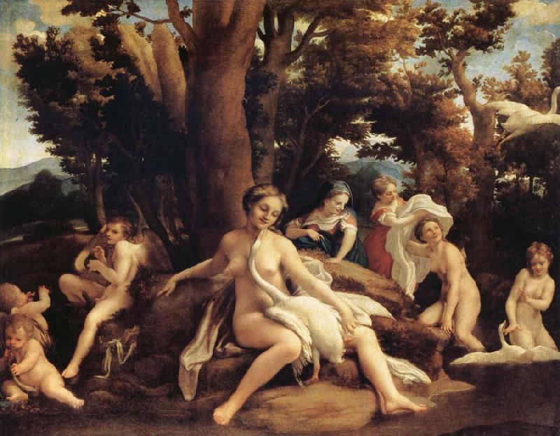 Correggio Leda